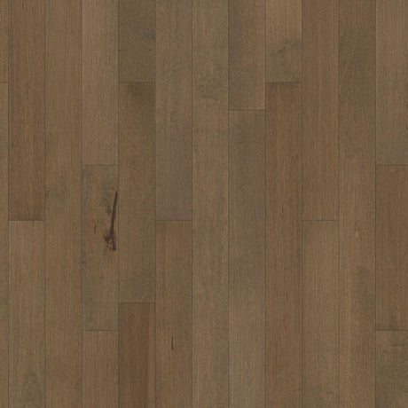 Timberline Solid Hardwood Flooring in Hard Maple Medium Brown