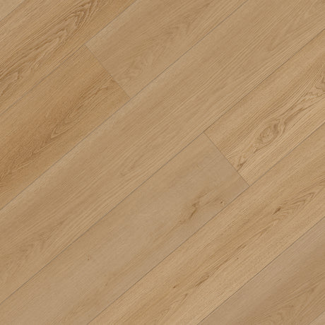 XL Broadview Collection SPC Vinyl Plank in Arbutus