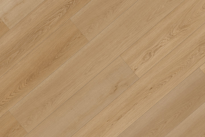 XL Broadview Collection SPC Vinyl Plank — Arbutus