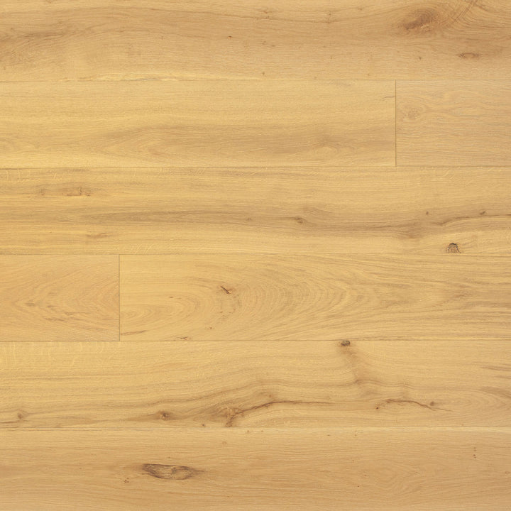 LongHorn White Oak Engineered Hardwood Flooring — 2.5mm Arizona