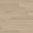Bd yukonfrontier truenorth 15988408 02 2184f3bc 4928 4f30 b8e1 8c2d937434e5