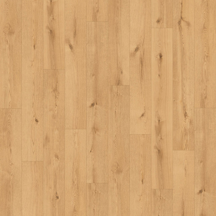Bay of Fundy Tides Vinyl Flooring 3