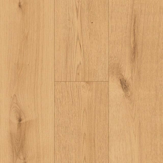 Bay of Fundy Tides PVC Free Flooring in Baystone