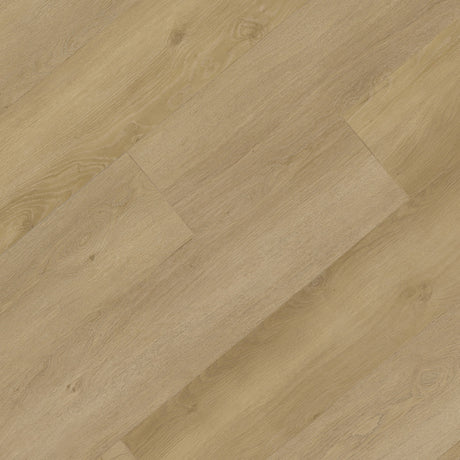 XL Broadview Collection SPC Vinyl Plank in Belcarra