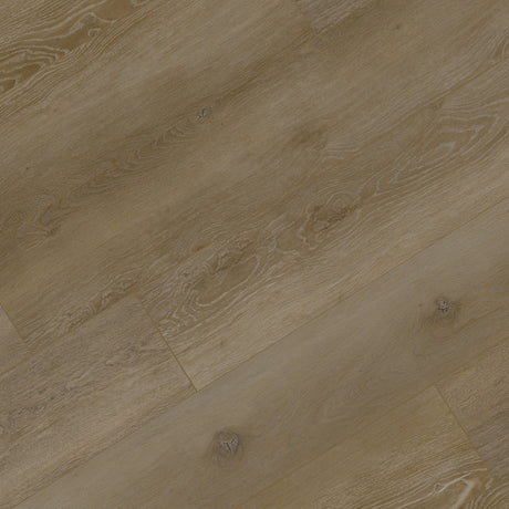 XL Broadview Collection SPC Vinyl Plank in Buntzen