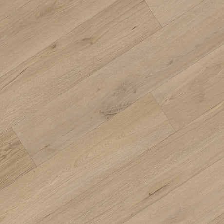 XL Broadview Collection SPC Vinyl Plank in Burrard
