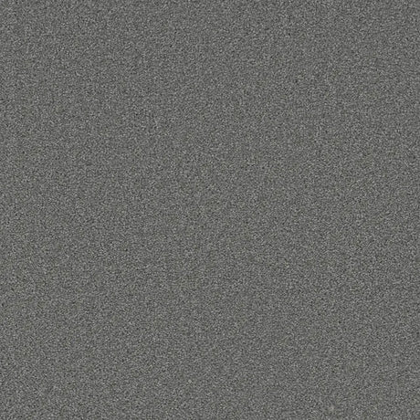 Grizzly 24oz Soft Cut Pile Polyester Carpet – Stain Resistant in Bear Claw