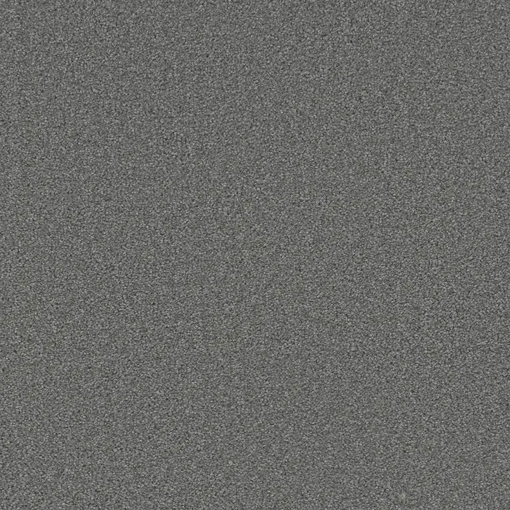 Grizzly 24oz Cut Pile Carpet Flooring