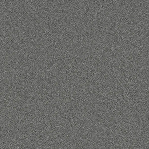 Grizzly 24oz Cut Pile Carpet Flooring