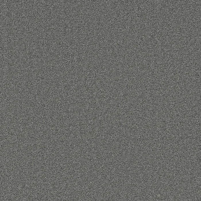 Grizzly 24oz Cut Pile Carpet Flooring 1