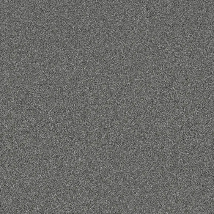 Grizzly 24oz Cut Pile Carpet Flooring — Bear Claw