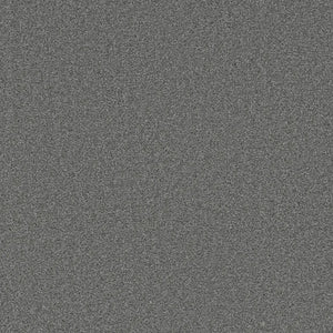 Grizzly 24oz Cut Pile Carpet Flooring