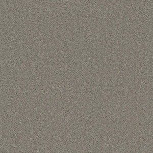 Grizzly 24oz Cut Pile Carpet Flooring