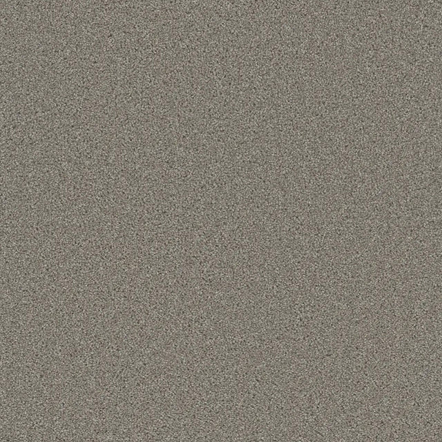 Grizzly 24oz Soft Cut Pile Polyester Carpet – Stain Resistant in Forest