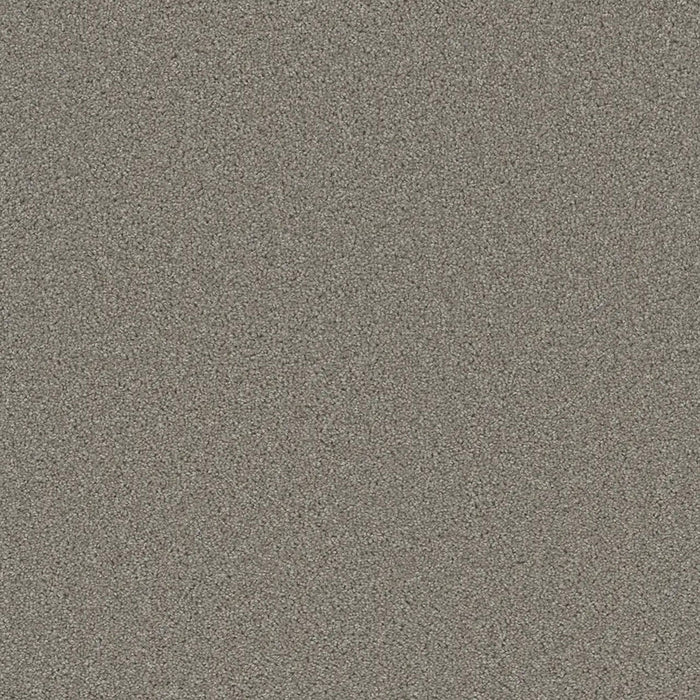 Grizzly 24oz Cut Pile Carpet Flooring 1