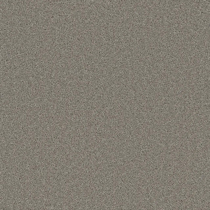 Grizzly 24oz Cut Pile Carpet Flooring — Forest