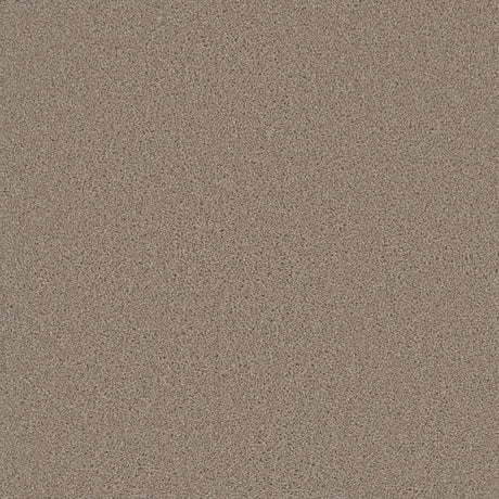 Grizzly 24oz Soft Cut Pile Polyester Carpet – Stain Resistant in Hearth
