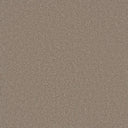 Grizzly 24oz Soft Cut Pile Polyester Carpet – Stain Resistant