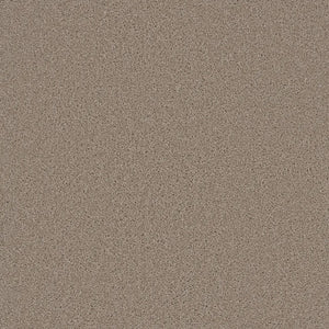 Grizzly 24oz Cut Pile Carpet Flooring
