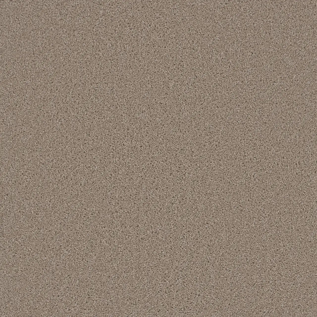 Grizzly 24oz Soft Cut Pile Polyester Carpet – Stain Resistant in Hearth