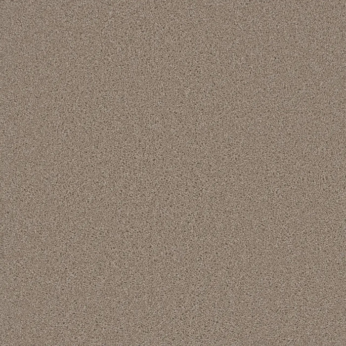 Grizzly 24oz Cut Pile Carpet Flooring 1