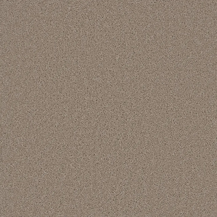 Grizzly 24oz Cut Pile Carpet Flooring — Hearth