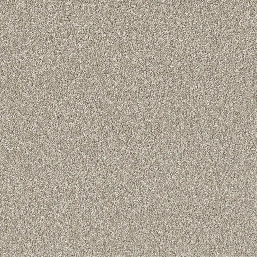 Grizzly 24oz Cut Pile Carpet Flooring