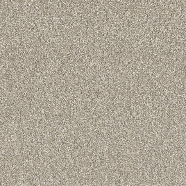 Grizzly 24oz Soft Cut Pile Polyester Carpet – Stain Resistant in Pinecone