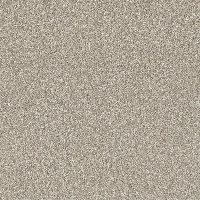 Grizzly 24oz Cut Pile Carpet Flooring 1