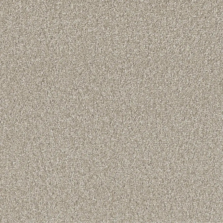 Grizzly 24oz Cut Pile Carpet Flooring — Pinecone