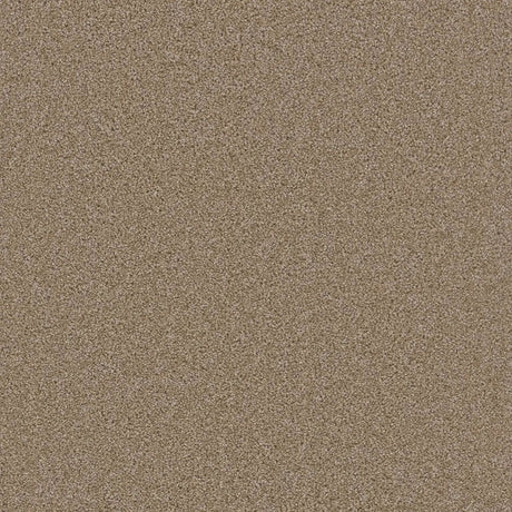 Grizzly 24oz Soft Cut Pile Polyester Carpet – Stain Resistant in Timberline