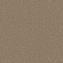 Grizzly 24oz Soft Cut Pile Polyester Carpet – Stain Resistant
