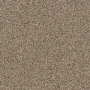 Grizzly 24oz Cut Pile Carpet Flooring