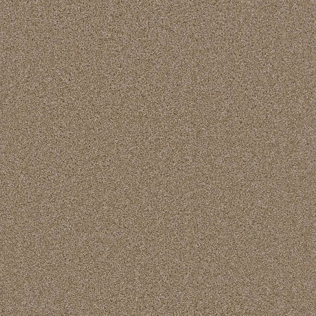 Grizzly 24oz Soft Cut Pile Polyester Carpet – Stain Resistant in Timberline