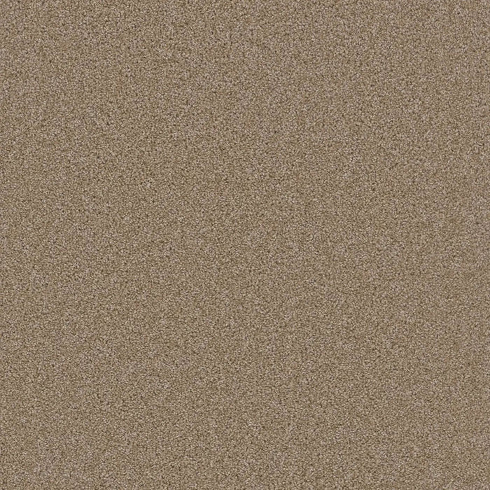 Grizzly 24oz Cut Pile Carpet Flooring 1