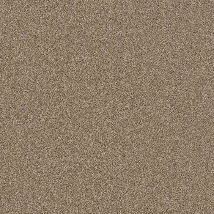 Grizzly 24oz Cut Pile Carpet Flooring — Timberline
