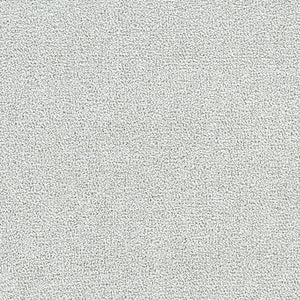 Polar 40oz Cut Pile Carpet Flooring