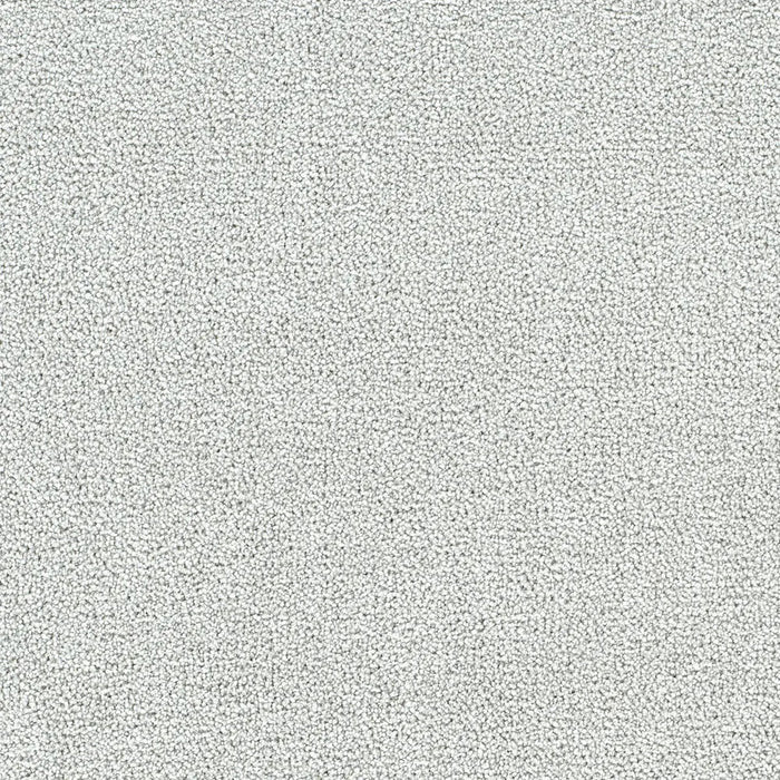 Polar 40oz Cut Pile Carpet Flooring 1