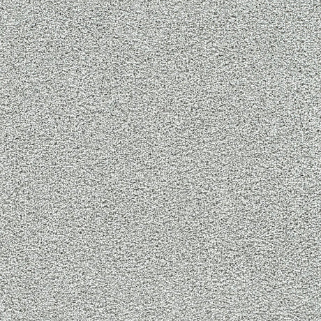 Polar 40oz Plush Textured Cut Pile Polyester Carpet – Stain Resistant in Blizzard