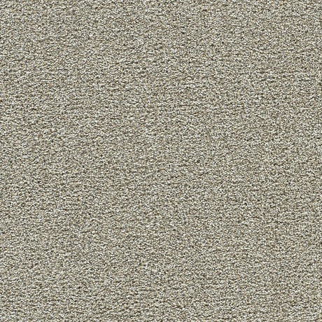 Polar 40oz Plush Textured Cut Pile Polyester Carpet – Stain Resistant in Glacier