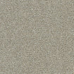 Polar 40oz Cut Pile Carpet Flooring