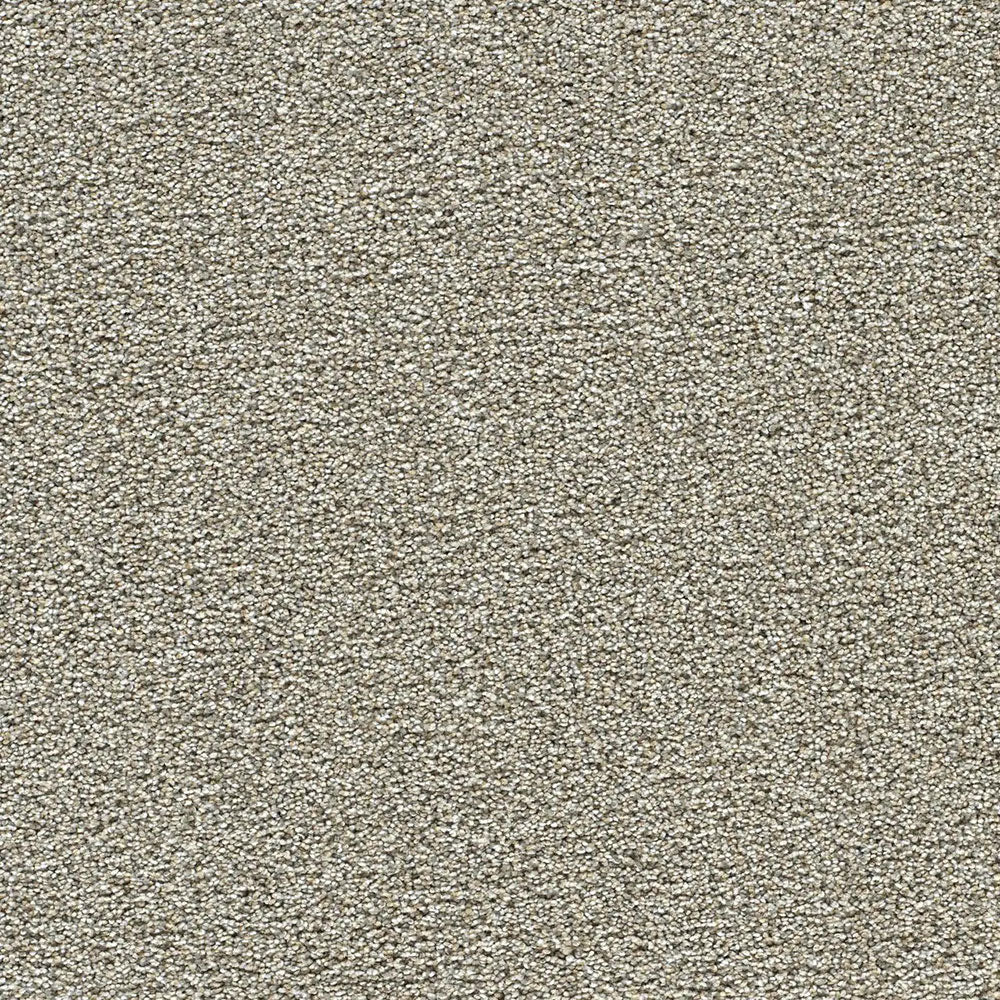 Polar 40oz Cut Pile Carpet Flooring