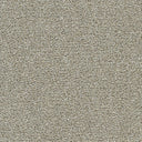 Polar 40oz Plush Textured Cut Pile Polyester Carpet – Stain Resistant
