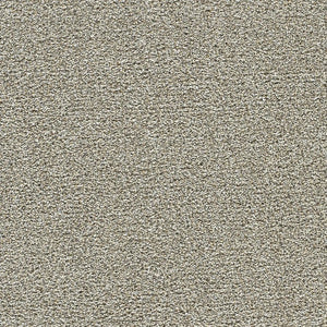 Polar 40oz Cut Pile Carpet Flooring
