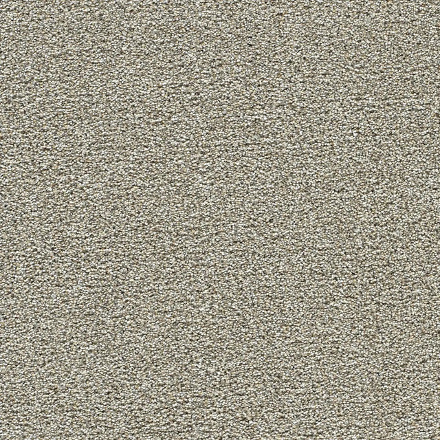 Polar 40oz Plush Textured Cut Pile Polyester Carpet – Stain Resistant in Glacier
