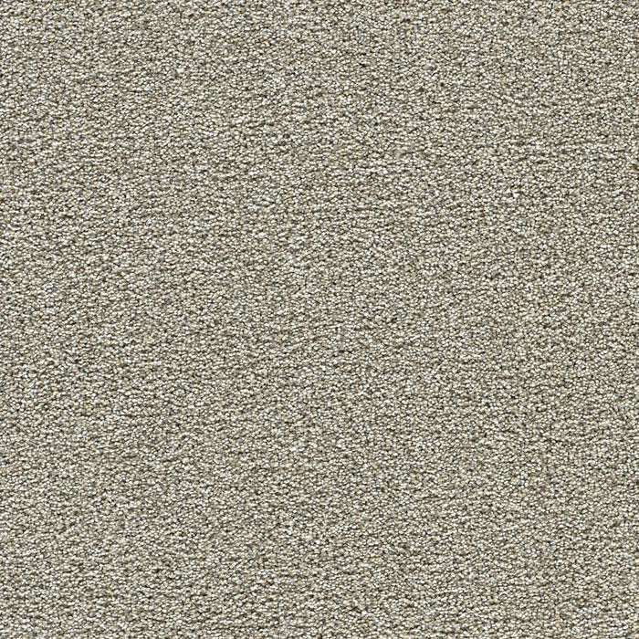 Polar 40oz Cut Pile Carpet Flooring 4