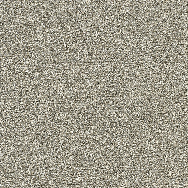 Polar 40oz Cut Pile Carpet Flooring — Glacier