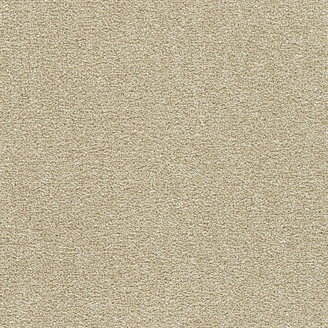 Polar 40oz Plush Textured Cut Pile Polyester Carpet – Stain Resistant in Ice