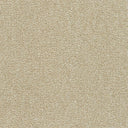 Polar 40oz Plush Textured Cut Pile Polyester Carpet – Stain Resistant
