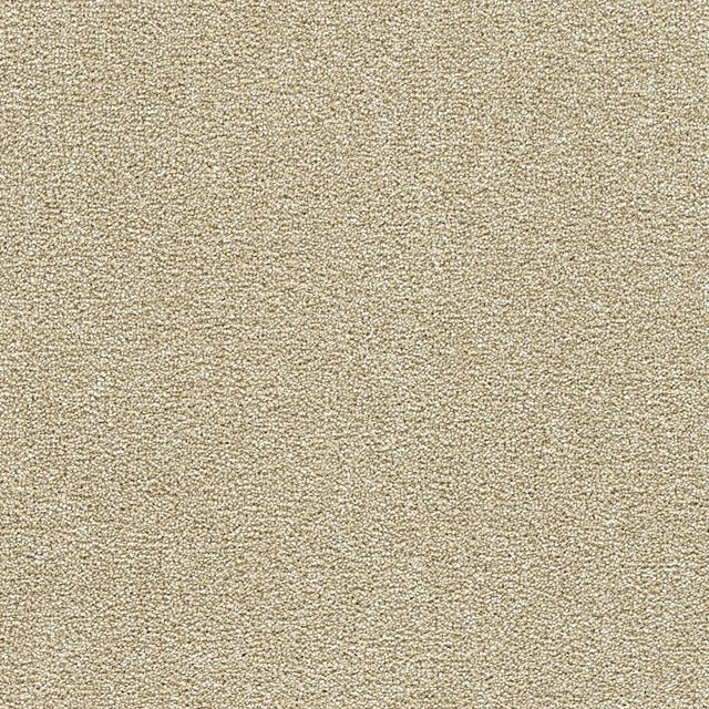 Polar 40oz Plush Textured Cut Pile Polyester Carpet – Stain Resistant in Ice